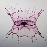 CHUT… (en édition)